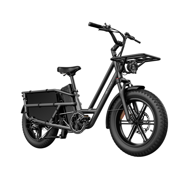 Fiido T2 Longtail Cargo E-bike